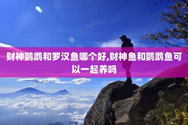 财神鹦鹉和罗汉鱼哪个好,财神鱼和鹦鹉鱼可以一起养吗