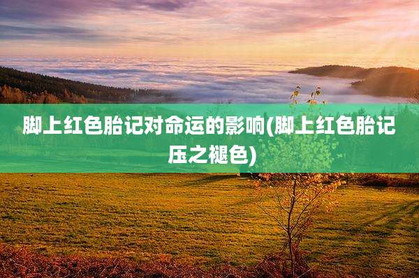 脚上红色胎记对命运的影响(脚上红色胎记 压之褪色)
