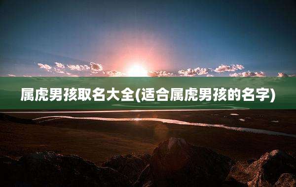 属虎男孩取名大全(适合属虎男孩的名字)
