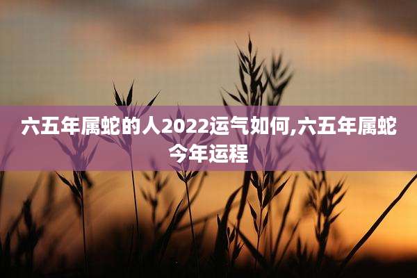 六五年属蛇的人2022运气如何,六五年属蛇今年运程