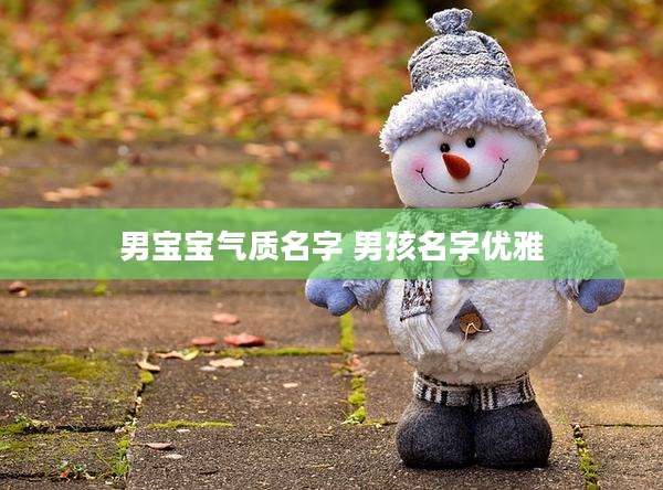 男宝宝气质名字 男孩名字优雅