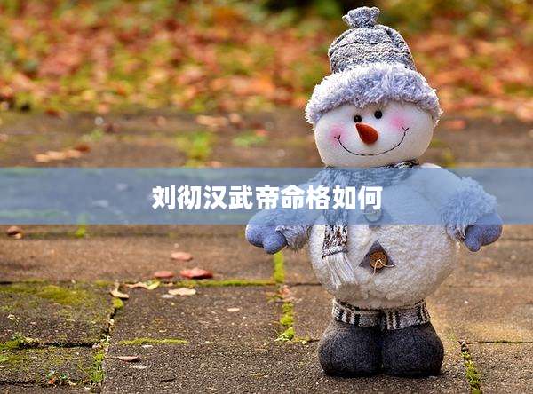 刘彻汉武帝命格如何