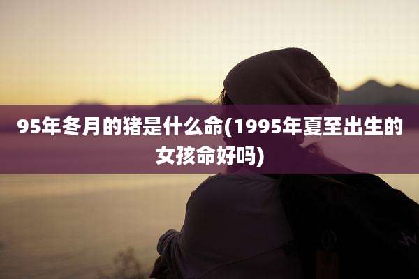 95年冬月的猪是什么命(1995年夏至出生的女孩命好吗)