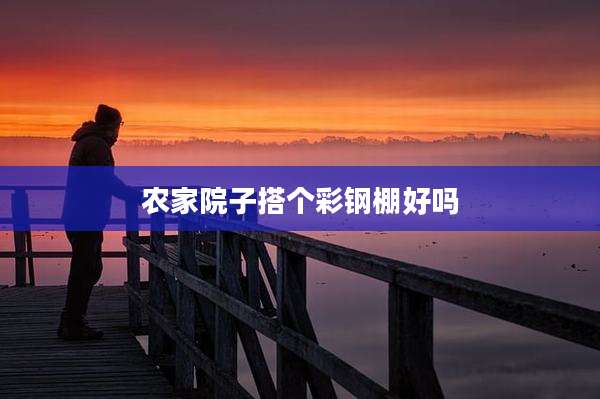 农家院子搭个彩钢棚好吗