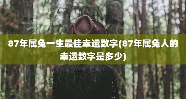 87年属兔一生最佳幸运数字(87年属兔人的幸运数字是多少)