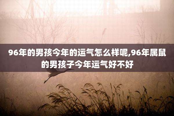 96年的男孩今年的运气怎么样呢,96年属鼠的男孩子今年运气好不好