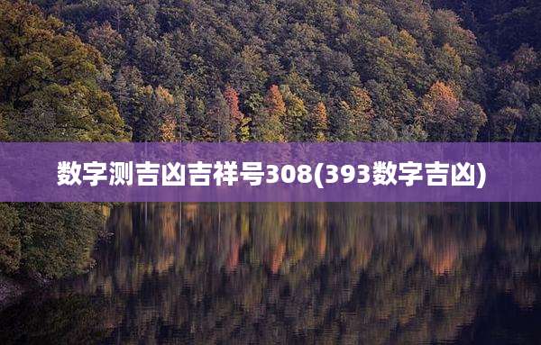 数字测吉凶吉祥号308(393数字吉凶)