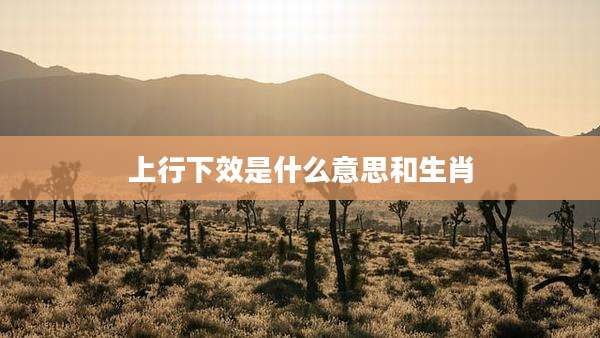 上行下效是什么意思和生肖
