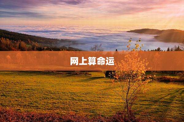 网上算命运