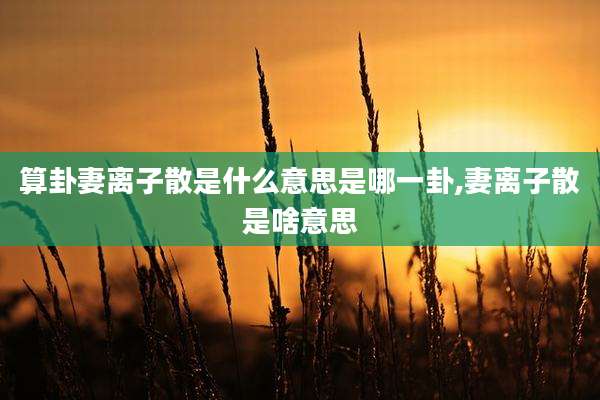 算卦妻离子散是什么意思是哪一卦,妻离子散是啥意思