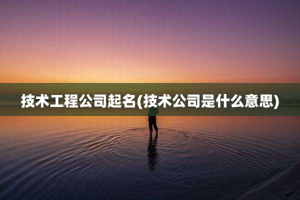 技术工程公司起名(技术公司是什么意思)