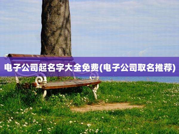 电子公司起名字大全免费(电子公司取名推荐)