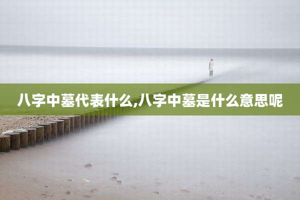 八字中墓代表什么,八字中墓是什么意思呢
