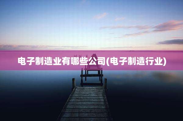 电子制造业有哪些公司(电子制造行业)