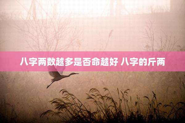 八字两数越多是否命越好 八字的斤两