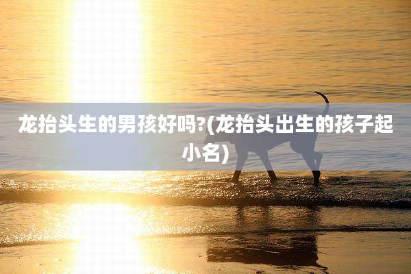 龙抬头生的男孩好吗?(龙抬头出生的孩子起小名)