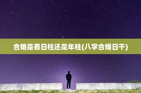 合婚是看日柱还是年柱(八字合婚日干)