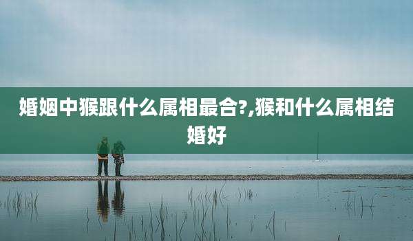 婚姻中猴跟什么属相最合?,猴和什么属相结婚好