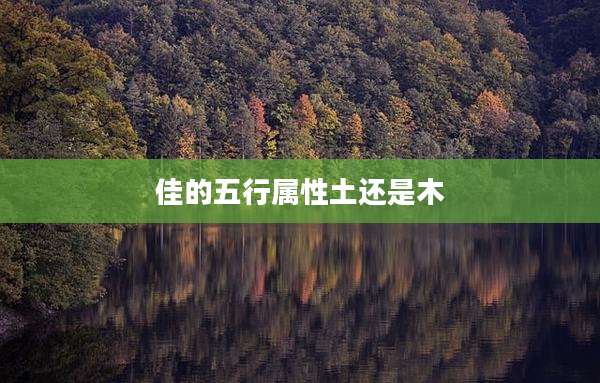 佳的五行属性土还是木