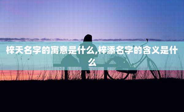 梓天名字的寓意是什么,梓添名字的含义是什么