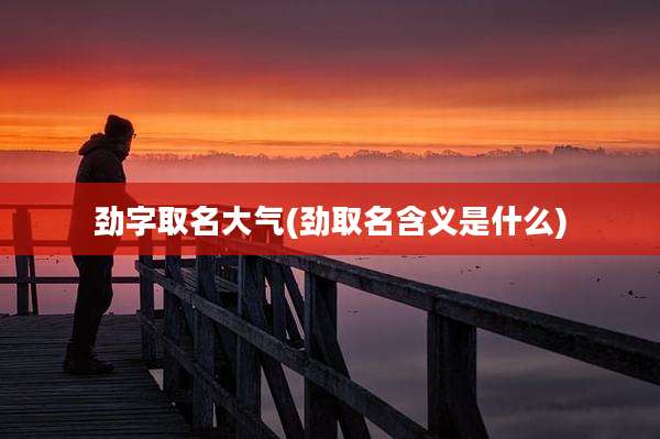 劲字取名大气(劲取名含义是什么)