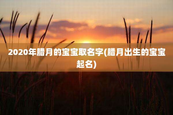 2020年腊月的宝宝取名字(腊月出生的宝宝起名)