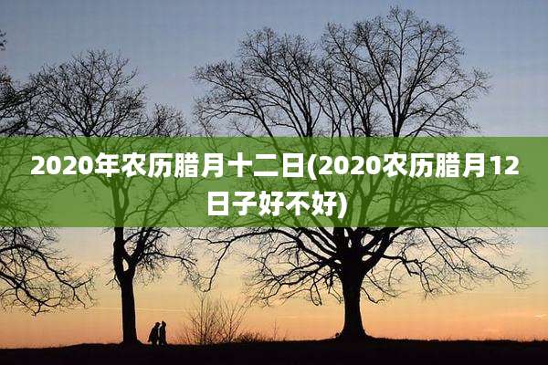 2020年农历腊月十二日(2020农历腊月12日子好不好)