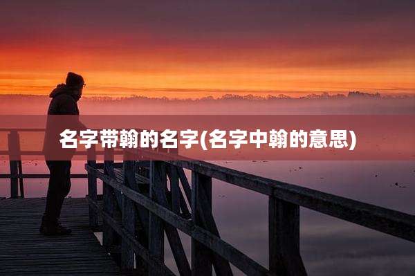 名字带翰的名字(名字中翰的意思)