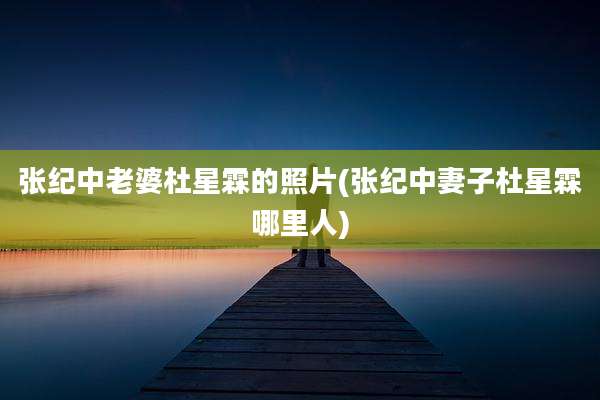 张纪中老婆杜星霖的照片(张纪中妻子杜星霖哪里人)