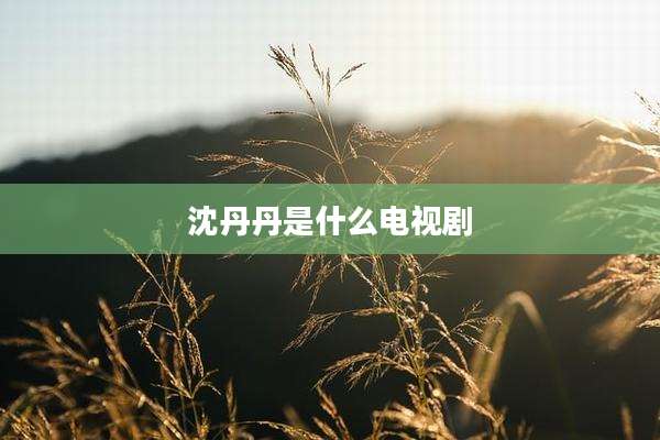 沈丹丹是什么电视剧