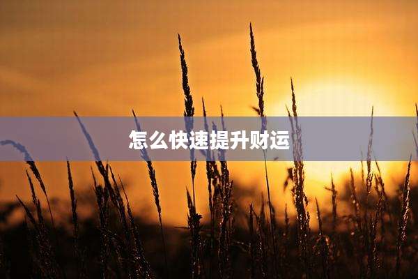 怎么快速提升财运