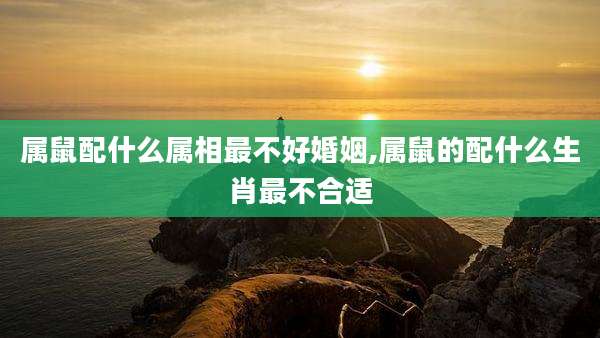 属鼠配什么属相最不好婚姻,属鼠的配什么生肖最不合适