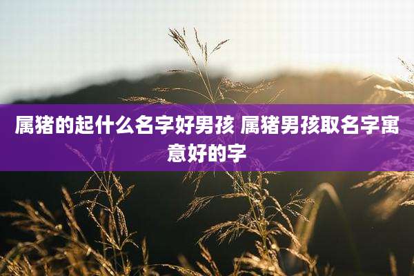 属猪的起什么名字好男孩 属猪男孩取名字寓意好的字