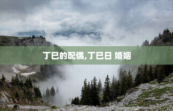 丁巳的配偶,丁巳日 婚姻