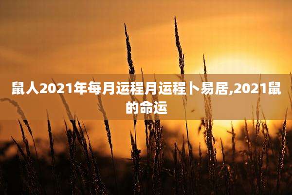 鼠人2021年每月运程月运程卜易居,2021鼠的命运
