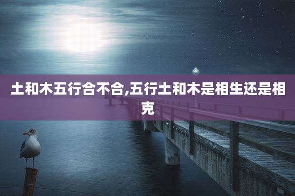 土和木五行合不合,五行土和木是相生还是相克