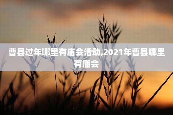 曹县过年哪里有庙会活动,2021年曹县哪里有庙会