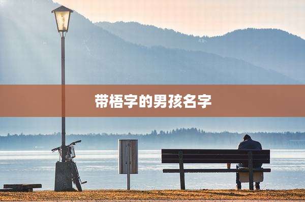 带梧字的男孩名字