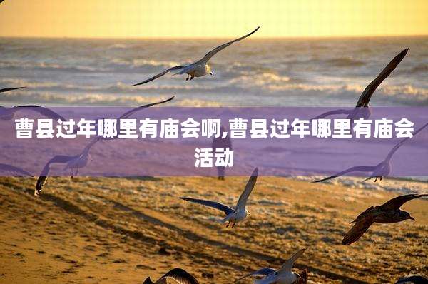 曹县过年哪里有庙会啊,曹县过年哪里有庙会活动