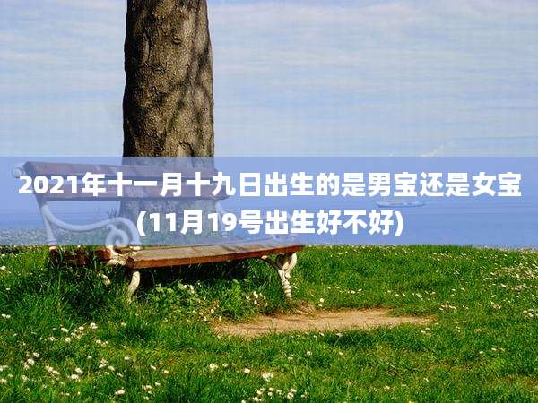 2021年十一月十九日出生的是男宝还是女宝(11月19号出生好不好)