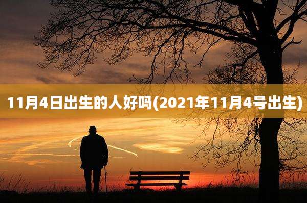 11月4日出生的人好吗(2021年11月4号出生)