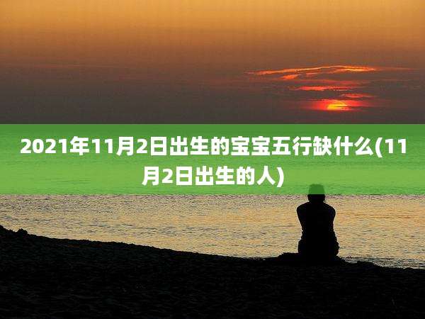 2021年11月2日出生的宝宝五行缺什么(11月2日出生的人)