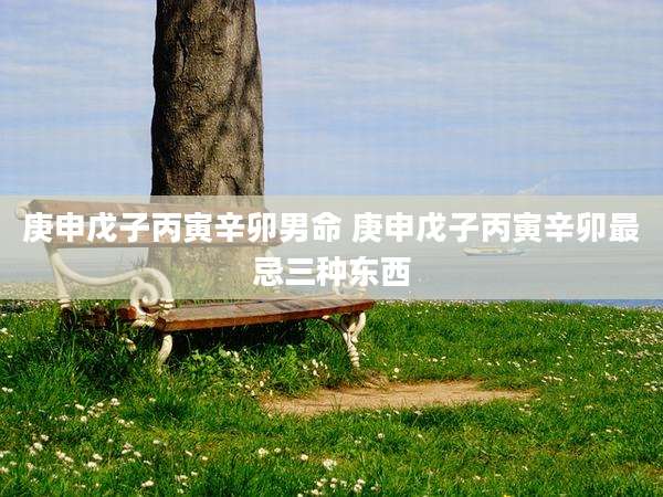 庚申戊子丙寅辛卯男命 庚申戊子丙寅辛卯最忌三种东西