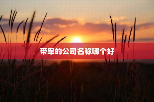 带军的公司名称哪个好