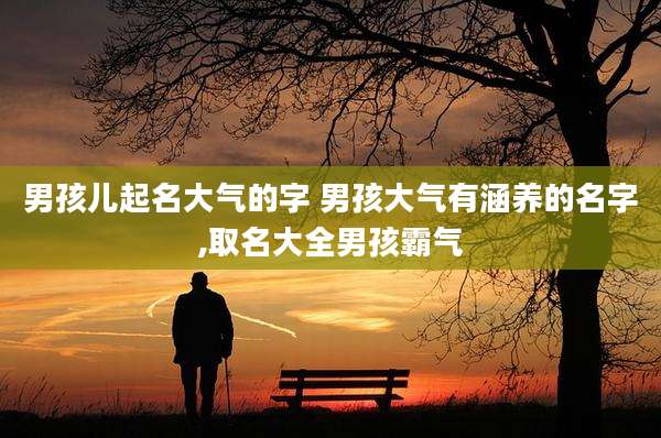 男孩儿起名大气的字 男孩大气有涵养的名字,取名大全男孩霸气