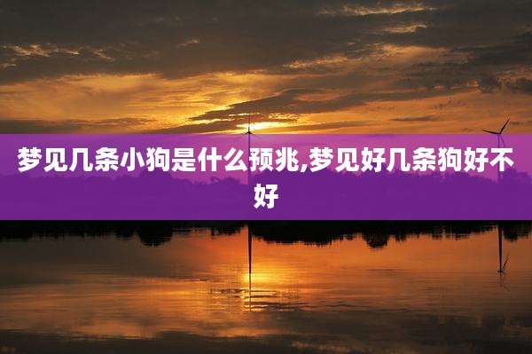 梦见几条小狗是什么预兆,梦见好几条狗好不好