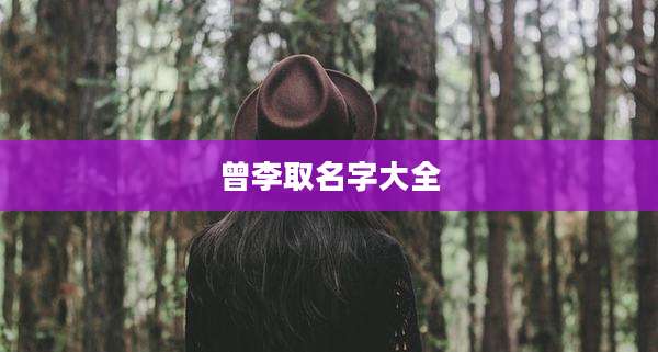 曾李取名字大全