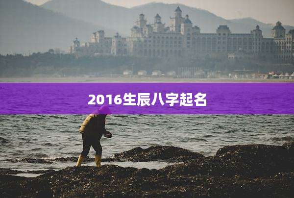 2016生辰八字起名