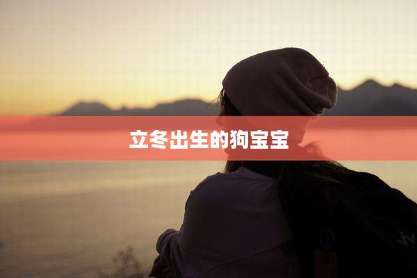 立冬出生的狗宝宝