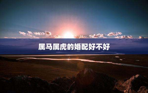 属马属虎的婚配好不好